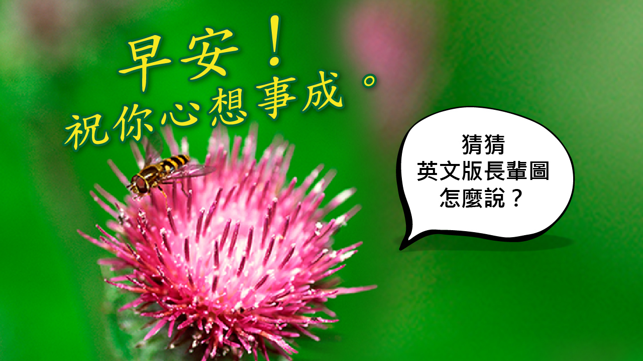 英文長輩圖這樣用～一起來問安！ - 空中美語部落格