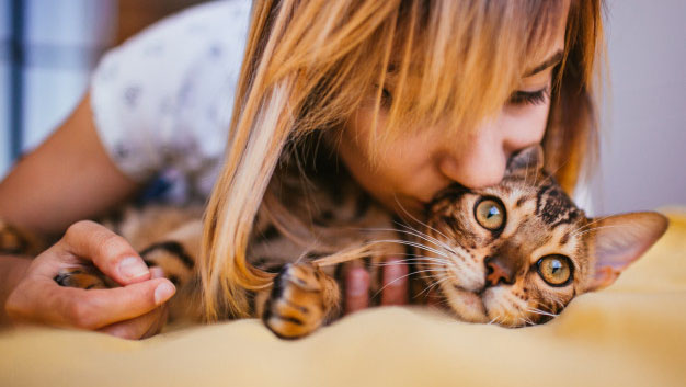 catlover