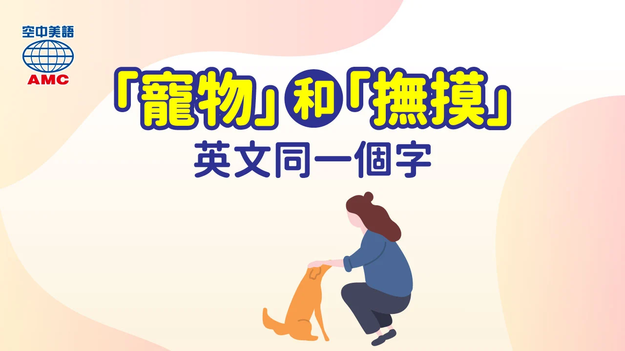 單字 pet 的用法