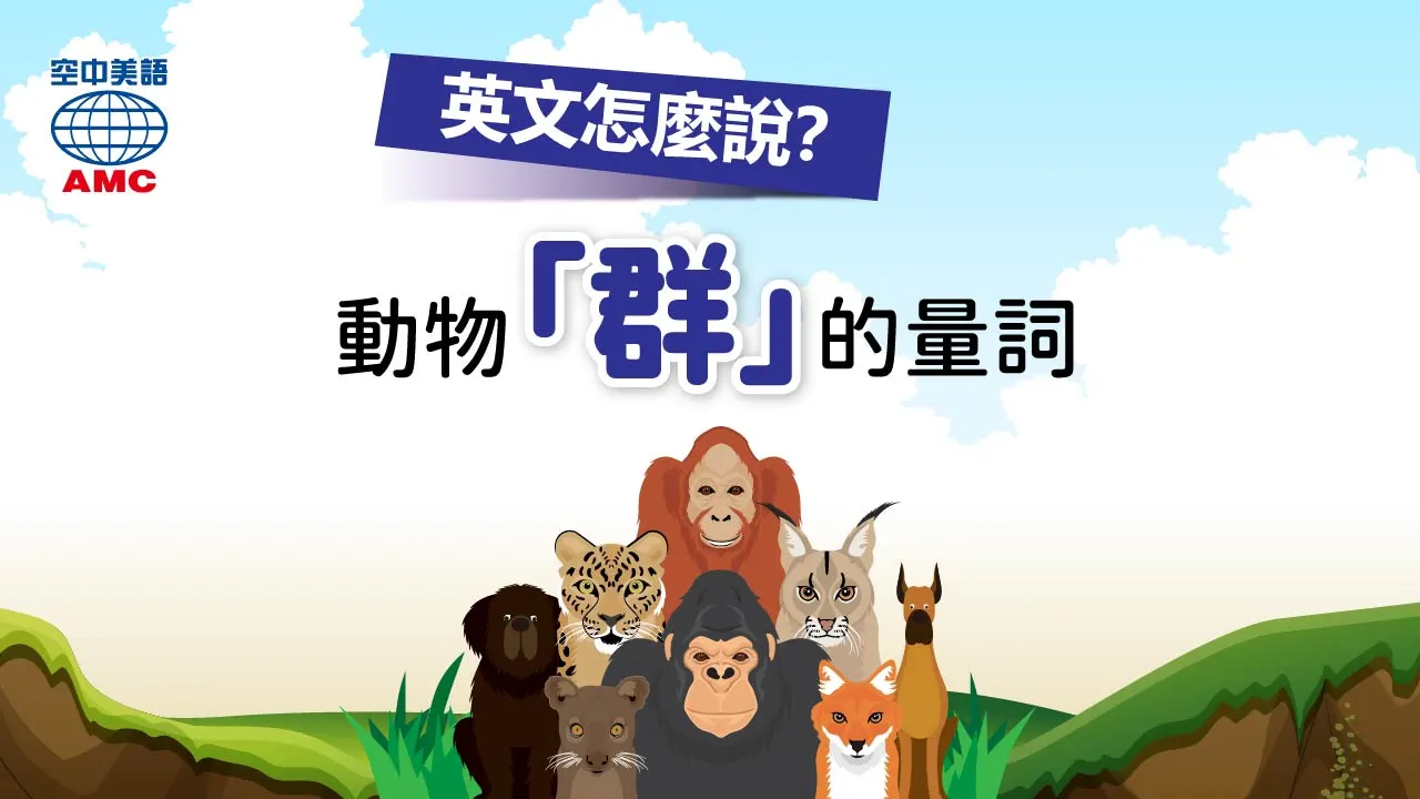 動物「群」的英文表達